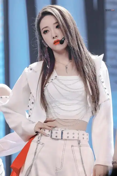 喻言喻言狮子猫鸭