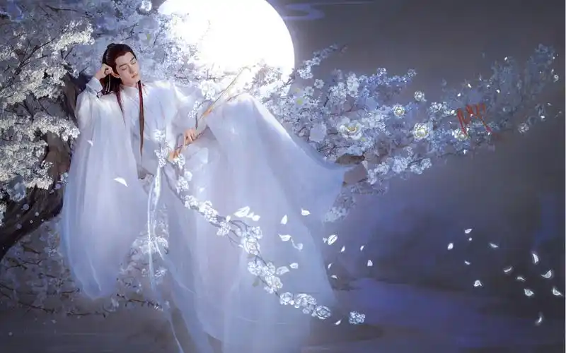 肖战时影|肖战玉骨遥