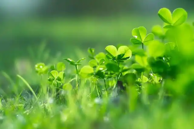 绿色税收的三种效应