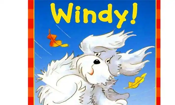 windy什么意思啊优质