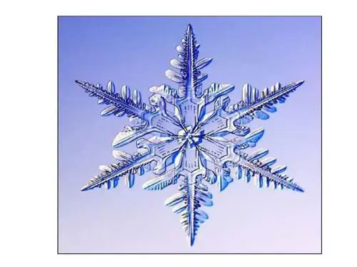 同学们,你们也赶快试着剪一剪对称图形吧!动动手吧,去创造对称美!