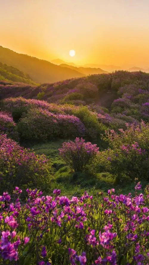 自然风景美景图片手机壁纸