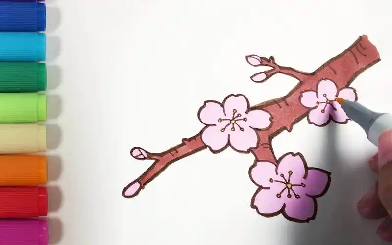 桃花简笔画图片大全 桃花简笔画图片大全带颜色