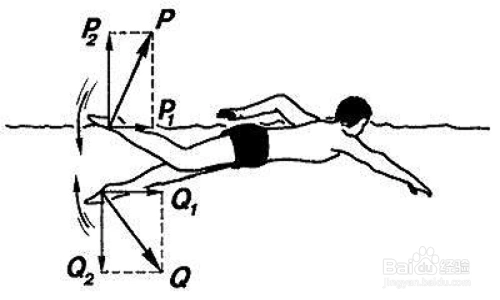 在家怎么练自由泳打腿