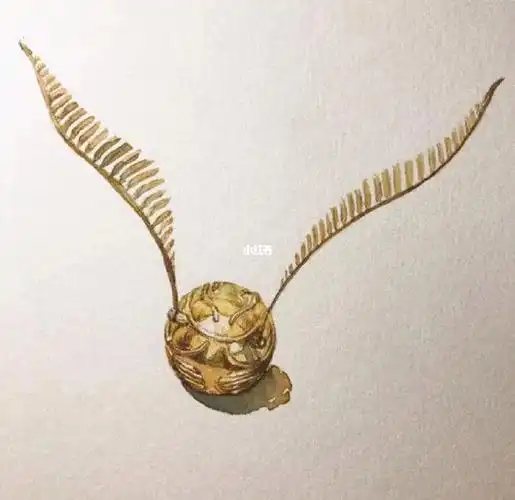 就是说来上个篮球课看到这个好像金色飞贼耶哈利波特金色飞贼篮球