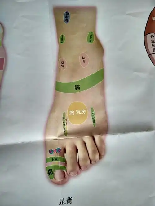 足部按摩口诀,反射区图片和按摩手法(一)