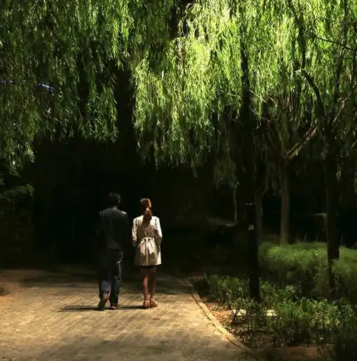 《路灯下的情侣》