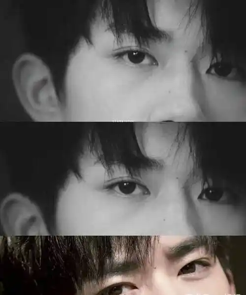 粉丝从易烊千玺撸猫的眼神中看出了一个故事