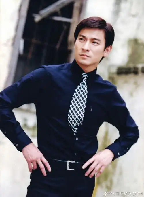 刘德华获多伦多电影节特别贡献奖##电影红毯先生