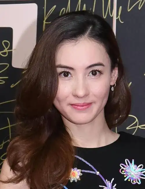 坚强的张柏芝三胎孩儿的爸爸真的是谢霆锋吗