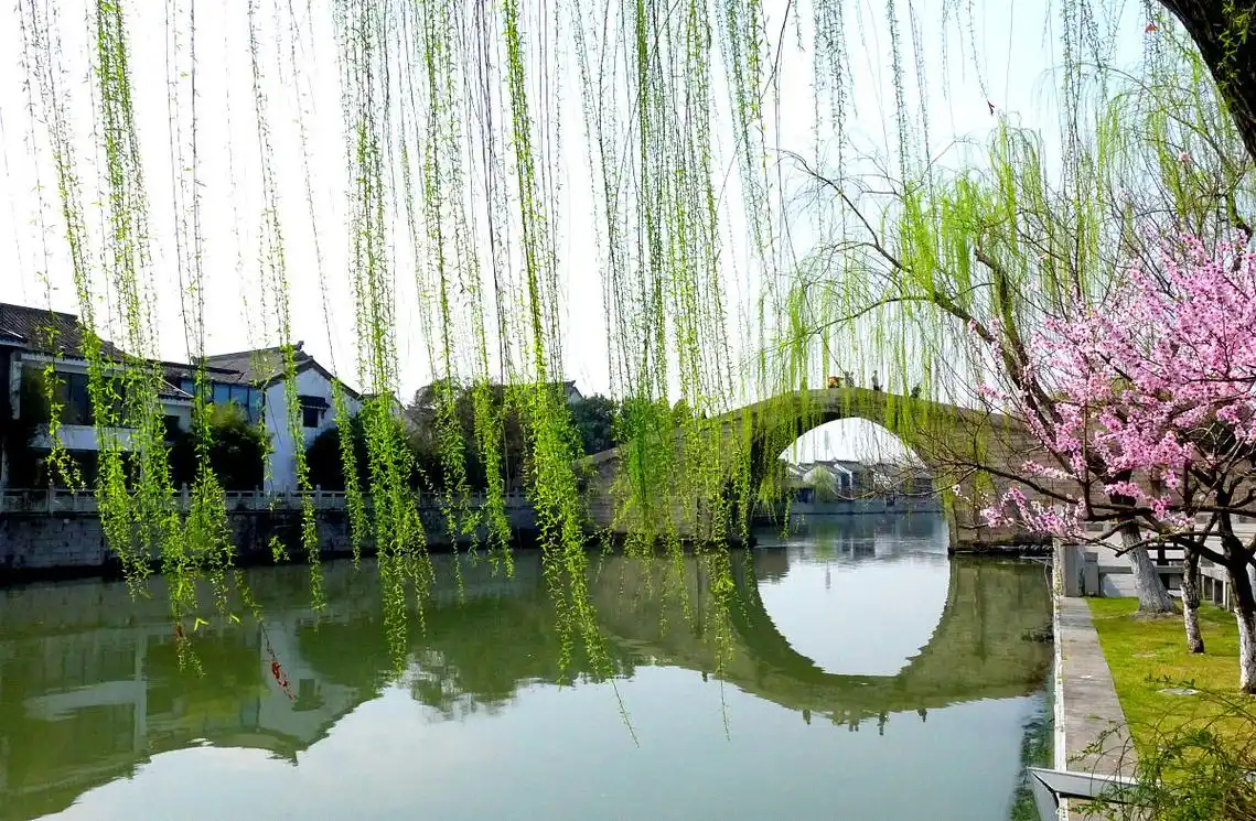 打油诗《忙也吟春》几枝杏苞初绽,小桥流水人家