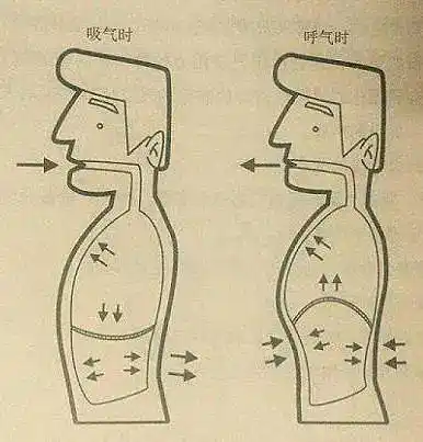 戏曲课堂|戏曲演唱之发声(一)