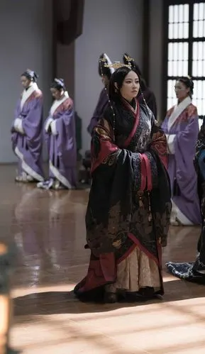 皓镧传华阳夫人谭卓