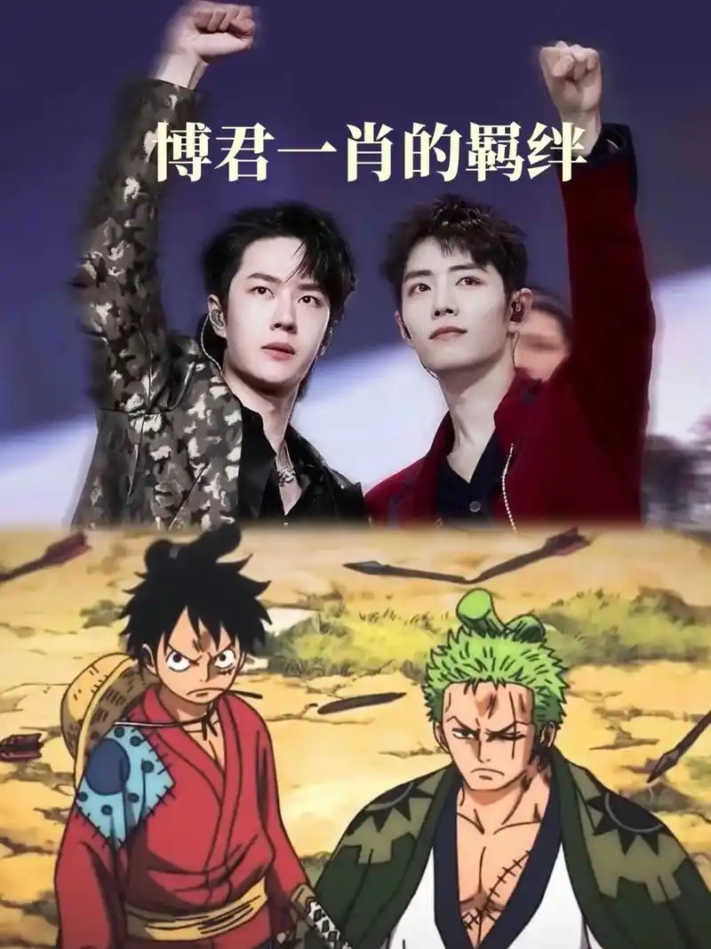 索隆是路飞最能交付后背的人,我想王一博对肖战也意味如此.