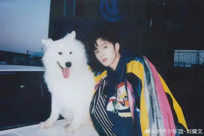 新生代演员刘耀文