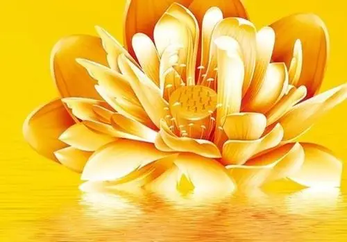 金色的莲花