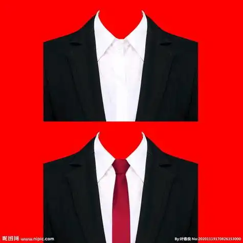 证件照女正装图片证件照红领带西装模板图片广告红西服[京东]月销量超
