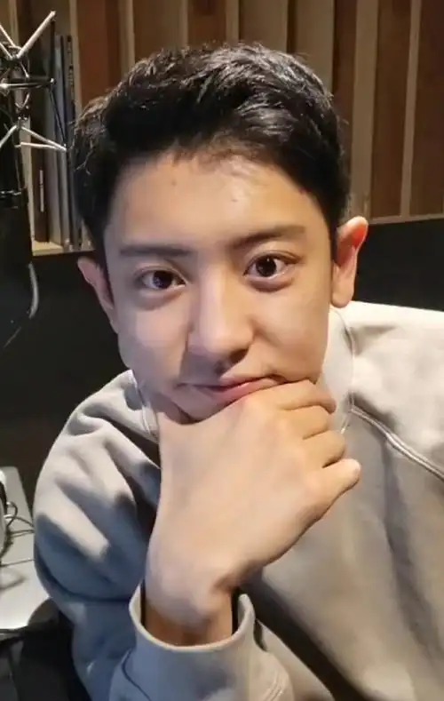 组图:exo朴灿烈退伍后首开直播 穿灰色卫衣素颜无惧怼脸镜头