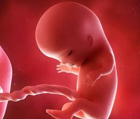原来跟胎宝宝有很大的关系呢_胎儿_时候_过程