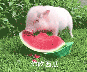 296_247gif 动态图 动图