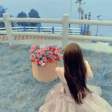 女人最适合的抖音头像背影(22张)