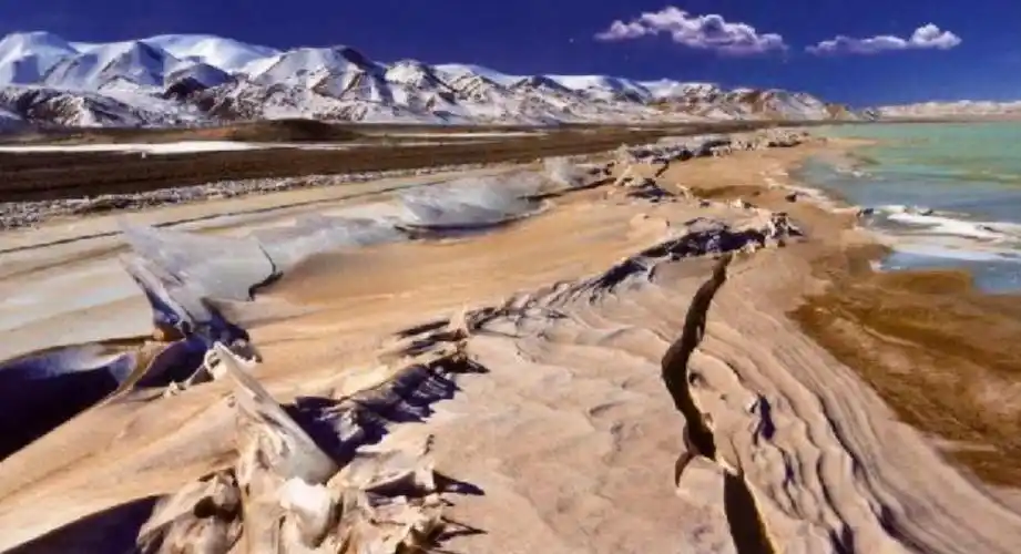 回顾:可可西里无人区有何恐怖之处?人类的禁区,其中藏有什么生物?