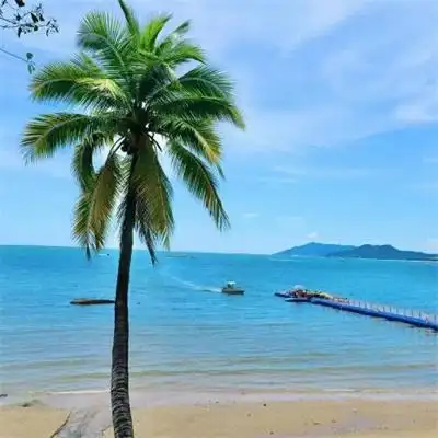 2022靓丽招财微信旺运势头像大全_风景头像_美头网