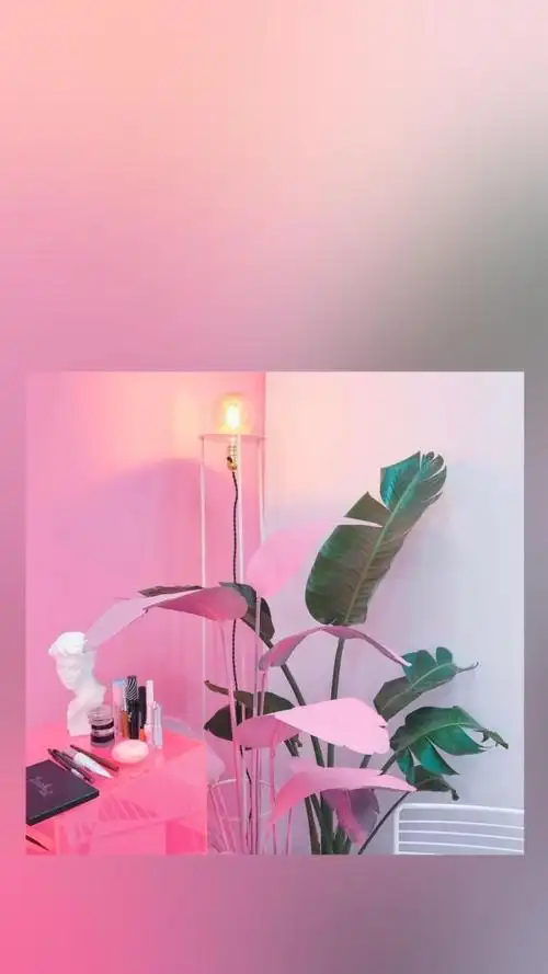 8月3日 21:08   关注  ins 少女心 壁纸 粉色系 评论 收藏