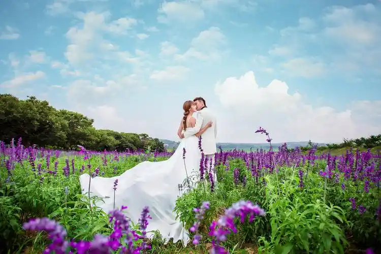 吾爱视觉摄影的婚纱摄影作品《韩式薰衣草外景》