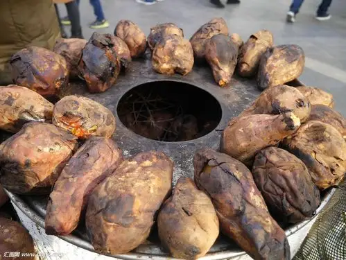 一鸣中学520班王天佑作文