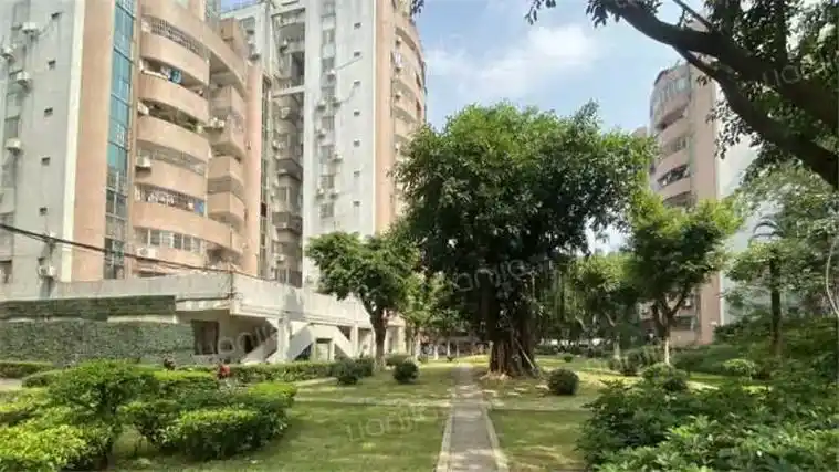 4.10-法拍房笋盘更新【番禺61金城花园】4室2厅,116 - 抖音