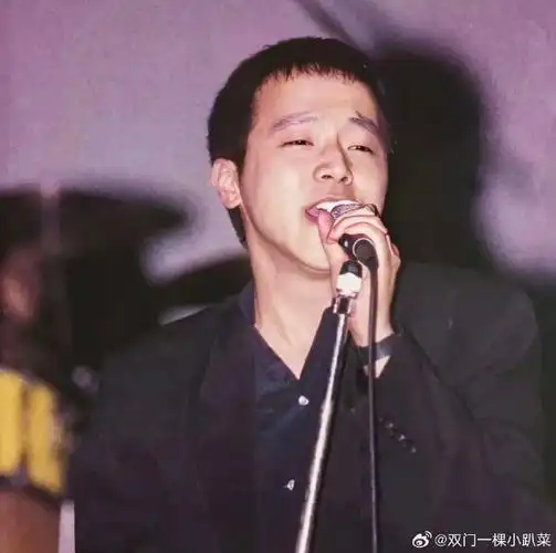 他什么有种独特的气质,王菲的眼光没差过#窦唯年轻时的采访视频