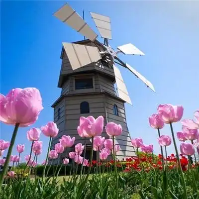 好看寓意又吉利财源滚滚的微信头像