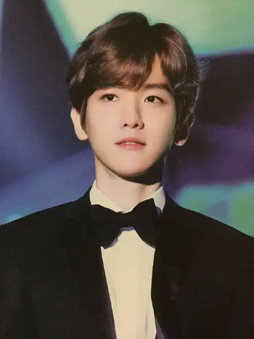 边伯贤可爱本体