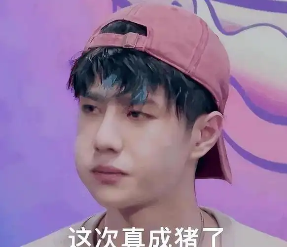 10位像动物的明星王一博肖战还能忍看到易烊千玺简直是神似