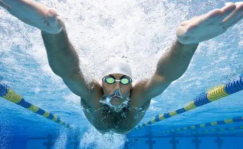 中游体育:蝶泳提速需要注意的四个主要细节