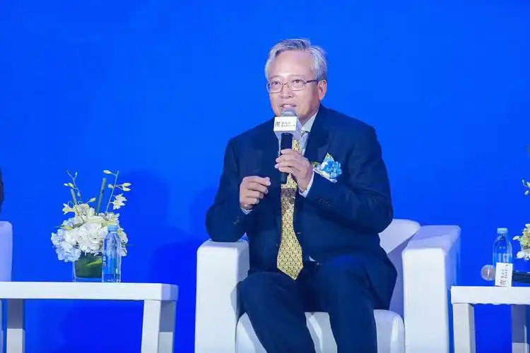 张思平先生发言