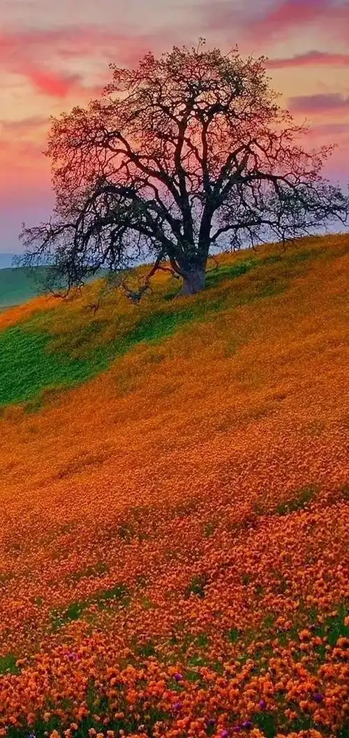 山水屏保壁纸图片高清,高清手机风景壁纸,好山好水好风景,山山水水