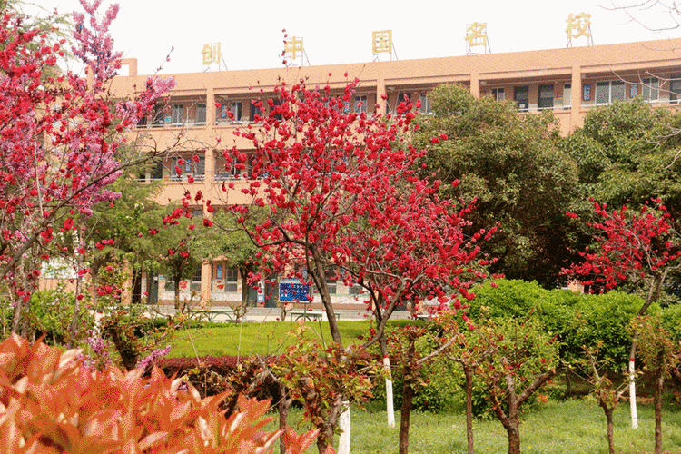 省级示范高中:富平县蓝光中学2020年秋高一新生招生信息