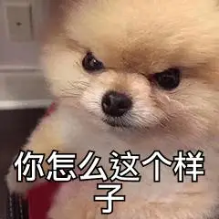 你怎么这个样子(汪星人表情包)_汪星人_样子_怎么_这个表情