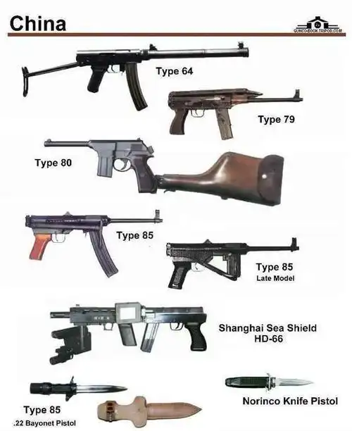 吹还是黑?中国人民解放军现役轻武器一览