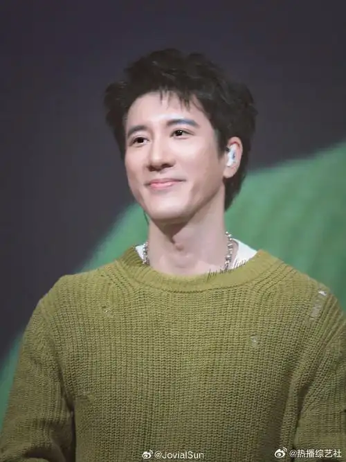 王力宏也上过歌手