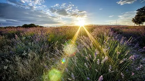 苹果imac极致景色,高清图片,电脑桌面-壁纸族