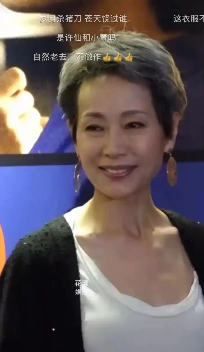 叶童今年60岁,又高又瘦,单独看她的照片,有点苍老,但是气质非常好