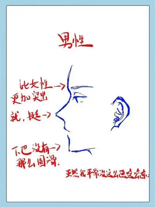 二次元人物侧脸教程