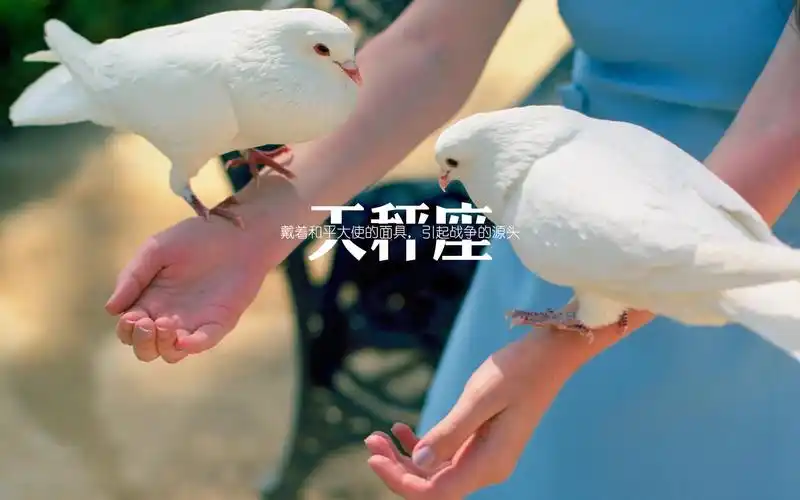 天秤座艺术设计,艺术壁纸-回车桌面