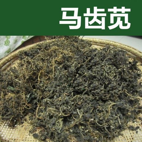 虎钢馋马齿苋干马齿苋干菜 马苋长命菜瓜子菜麻绳马生菜干货蔬菜干