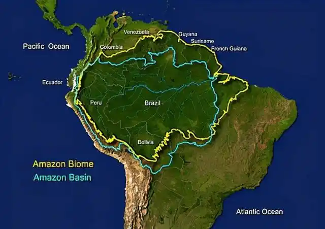 并且该雨林也是世界上最大的热带雨林,整个雨林占据全世界雨林的一半