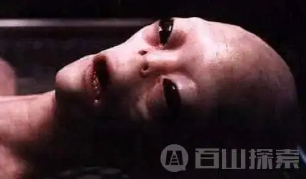 这里有你想要了解的!不进后悔(骗人可耻)