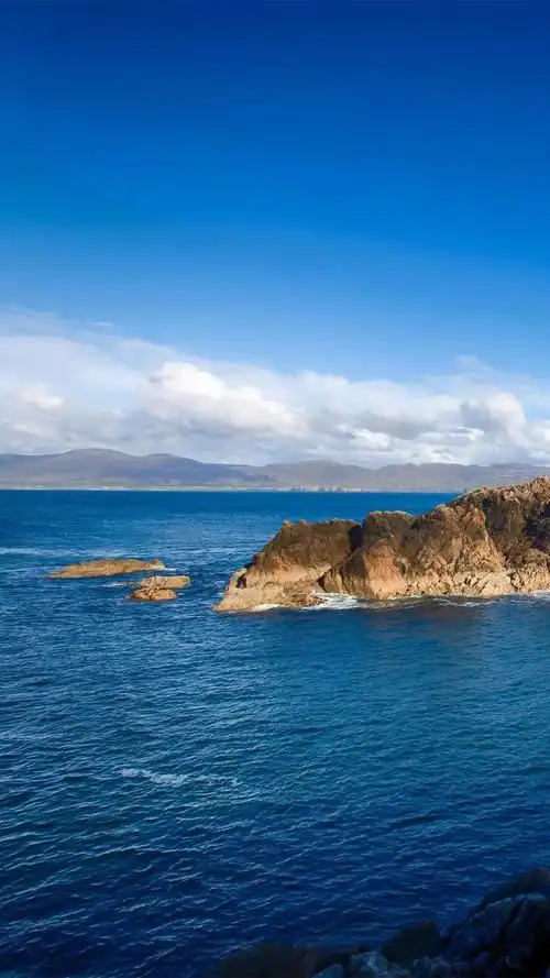 福利高清手机壁纸大图